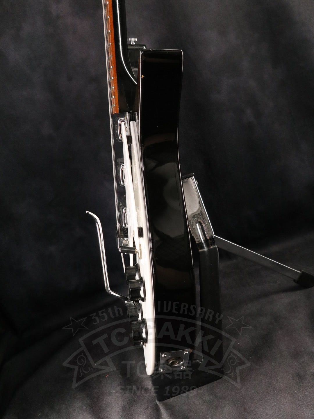 Rickenbacker 325v63