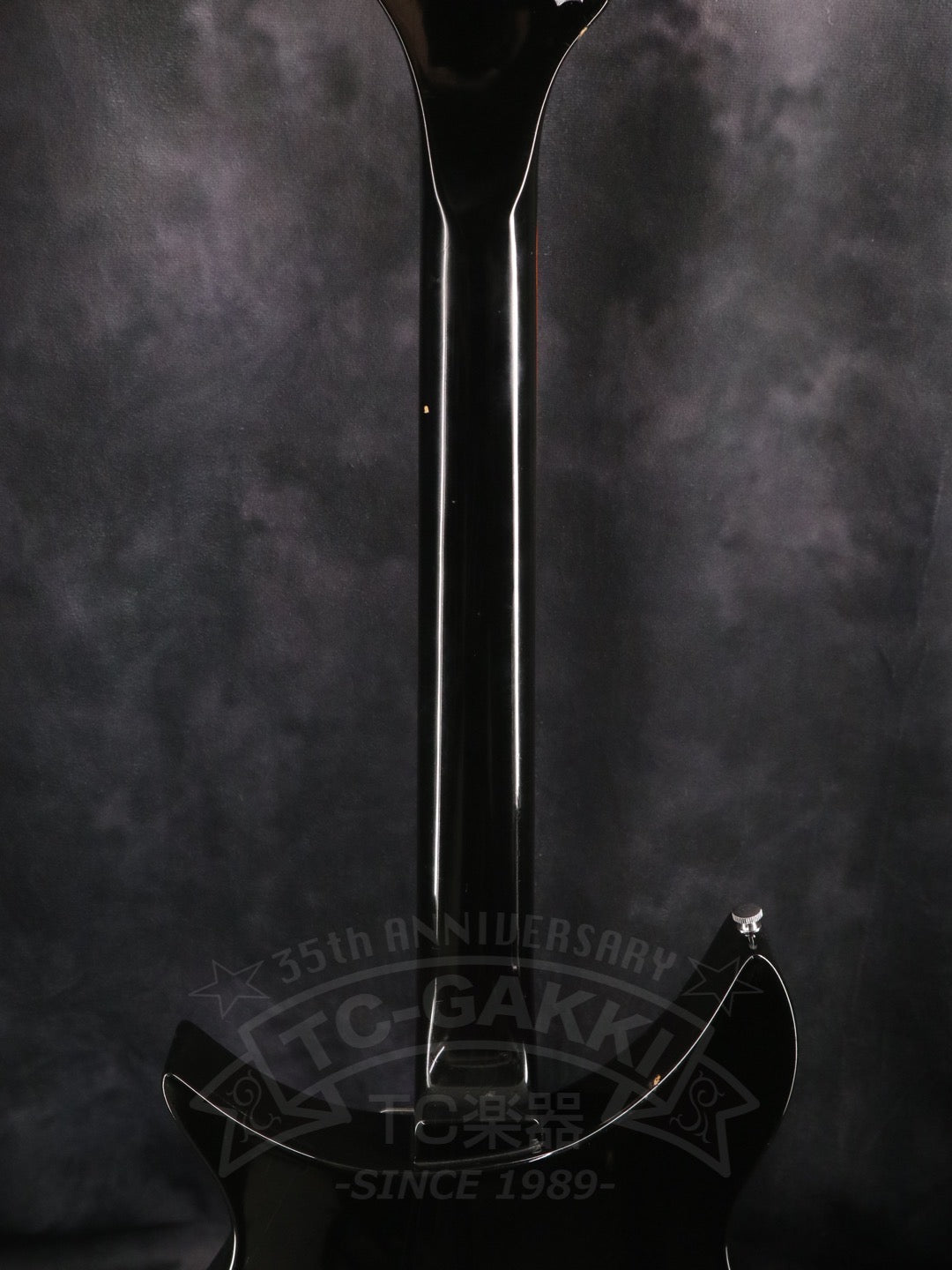 Rickenbacker 325v63