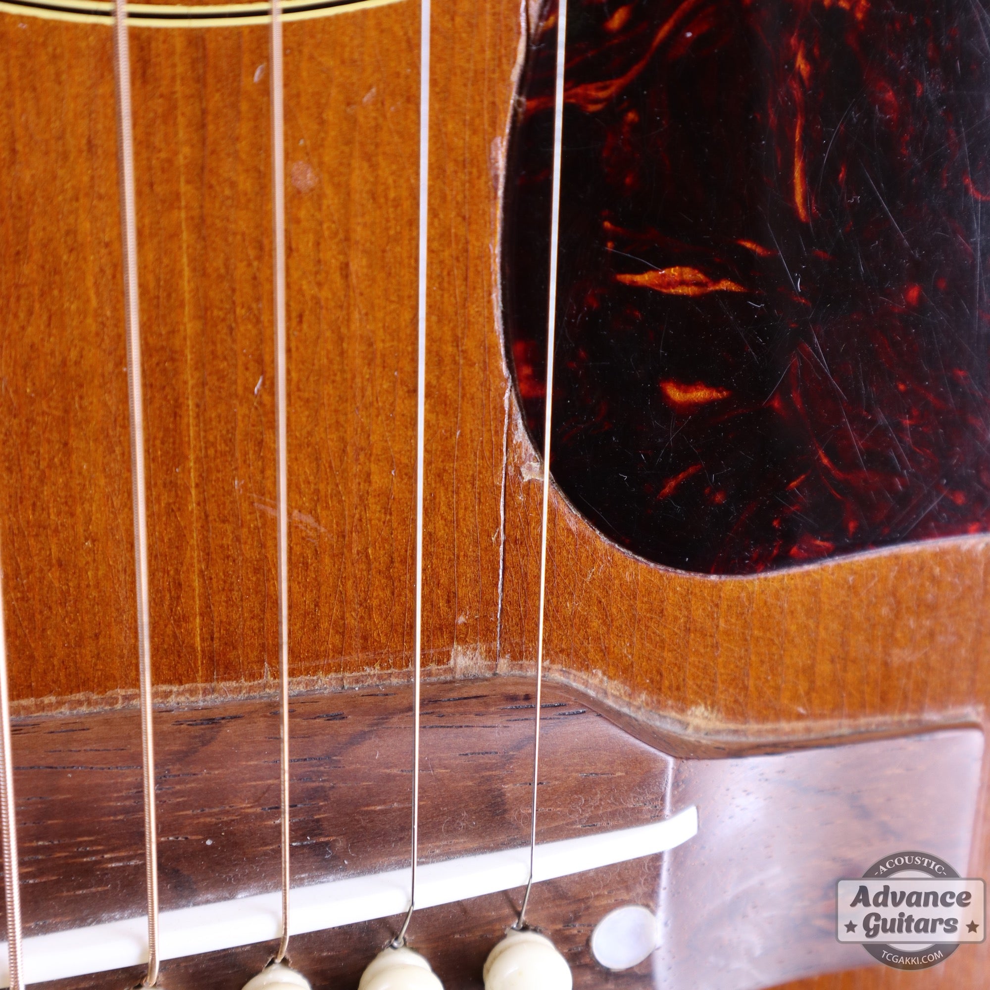 Gibson 1953年製 Southern Jumbo
