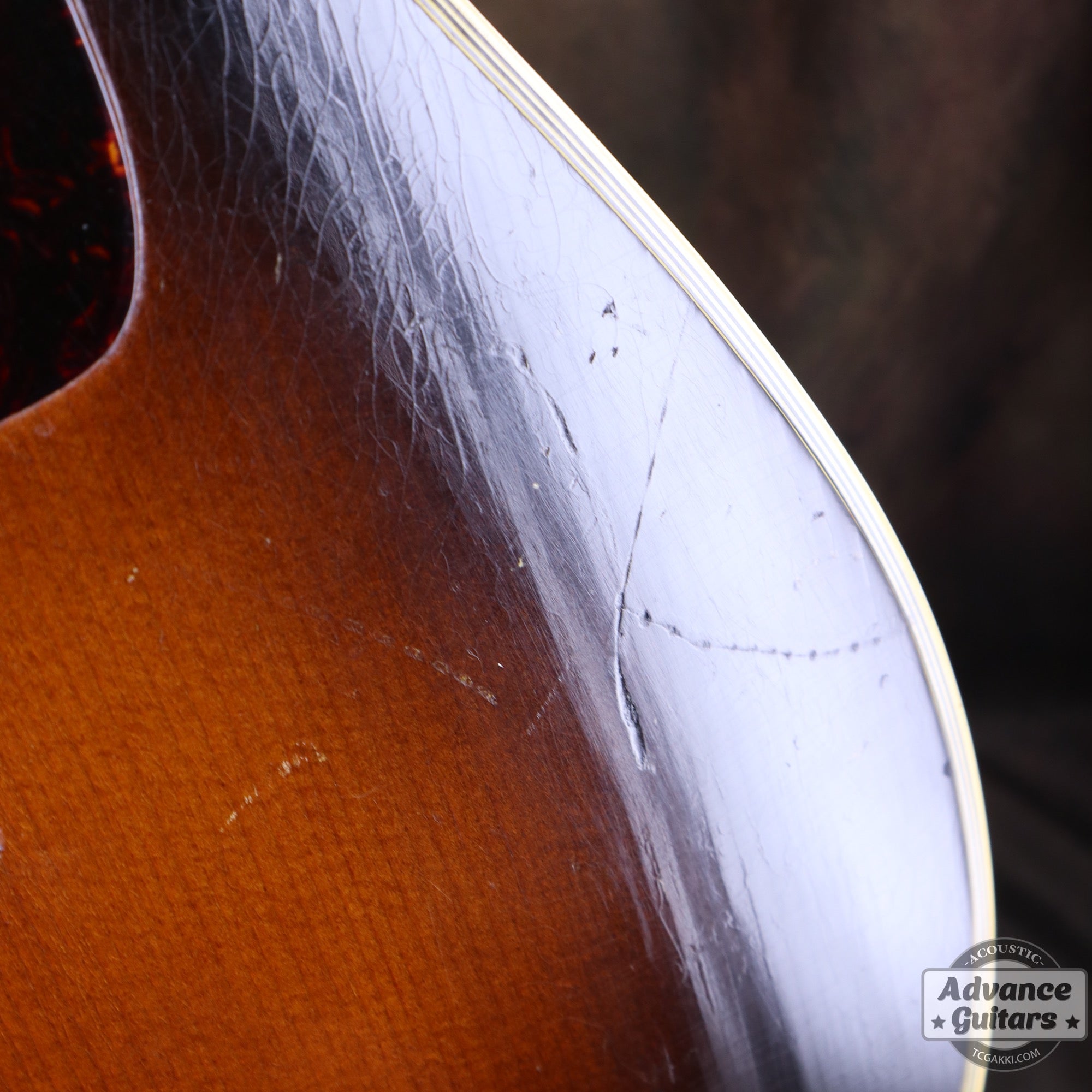Gibson 1953年製 Southern Jumbo