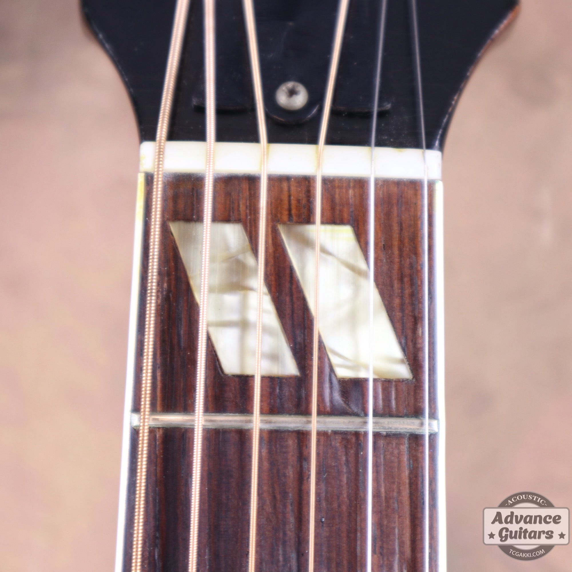 Gibson 1953年製 Southern Jumbo