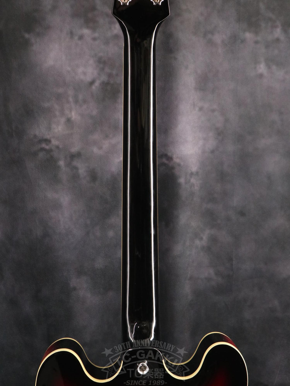 Epiphone RIVIERA