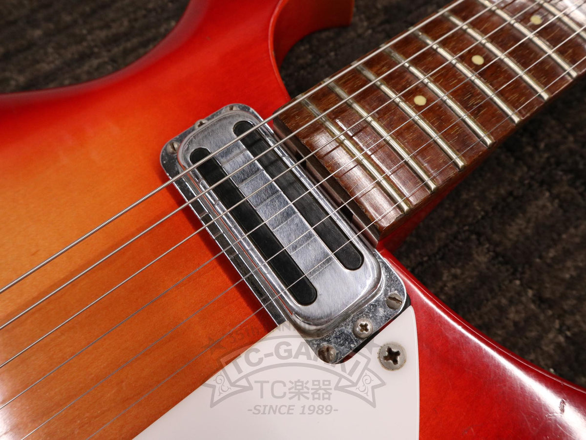 Rickenbacker 1967 Model 615