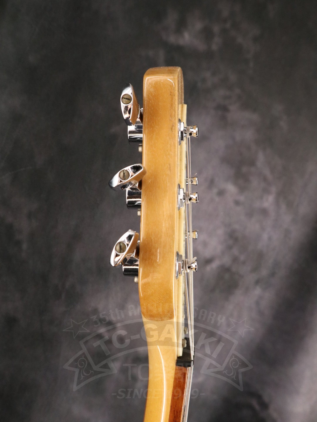 Rickenbacker 330