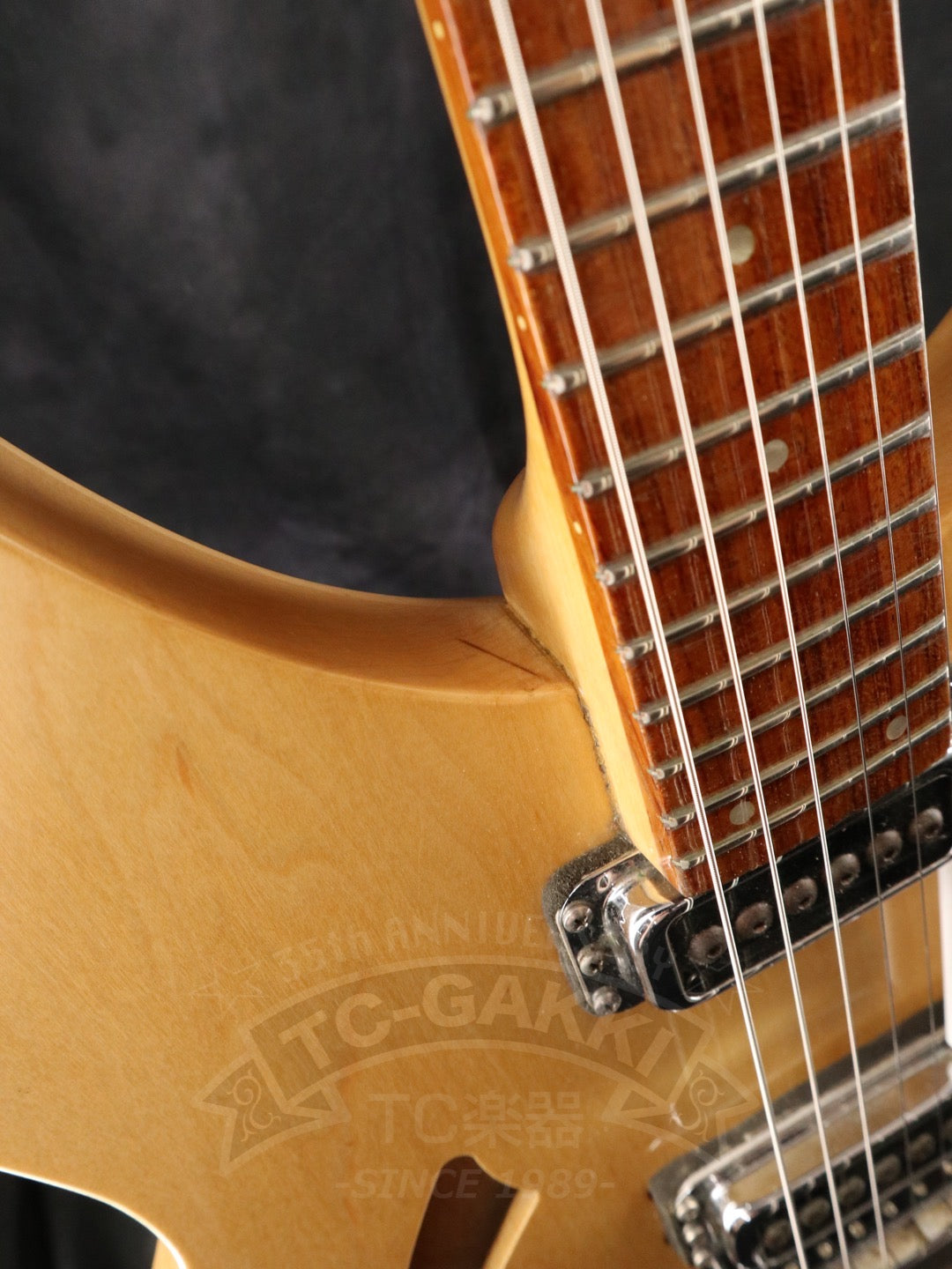 Rickenbacker 330
