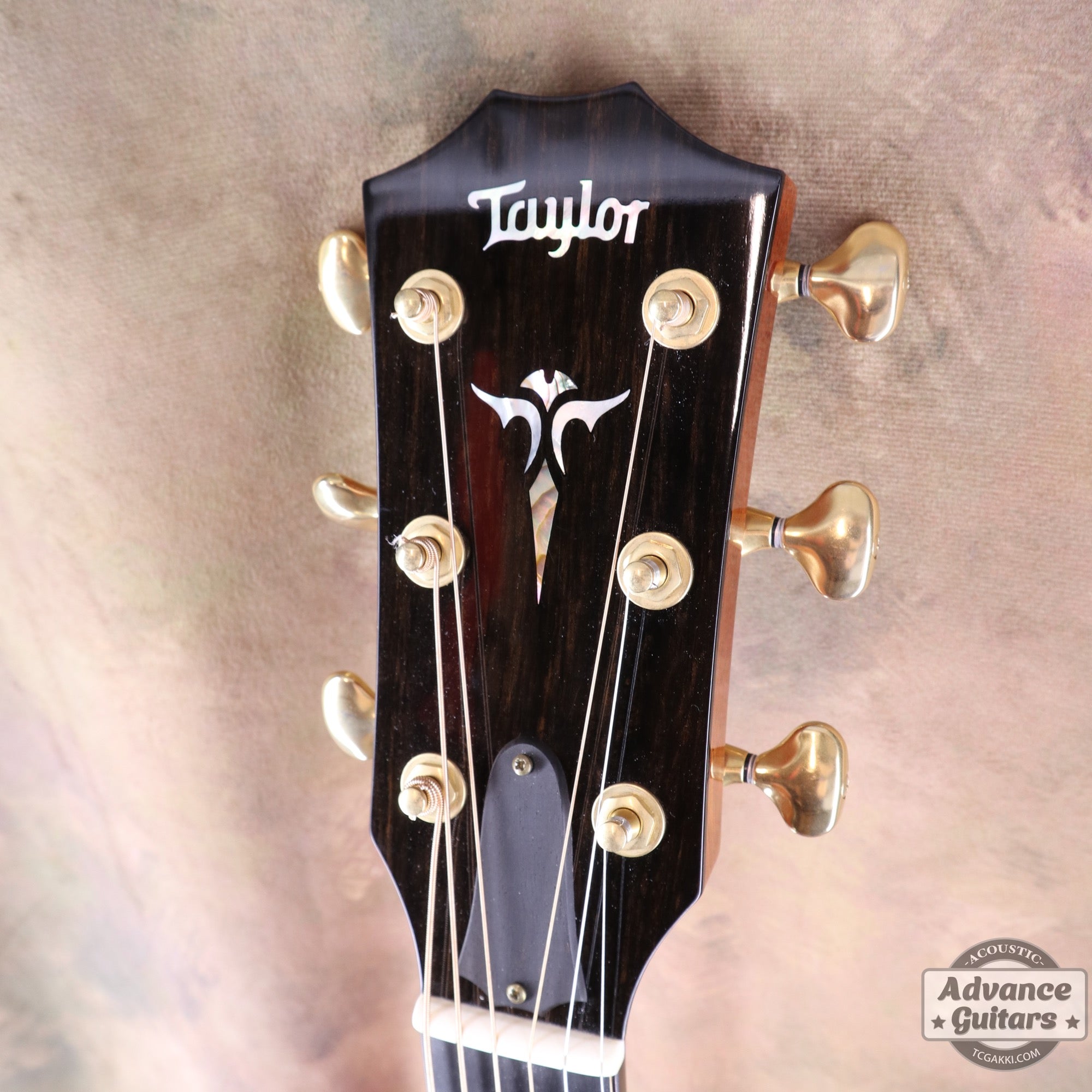 Taylor 2011年製 BTO2011 DNE-ADS/RW