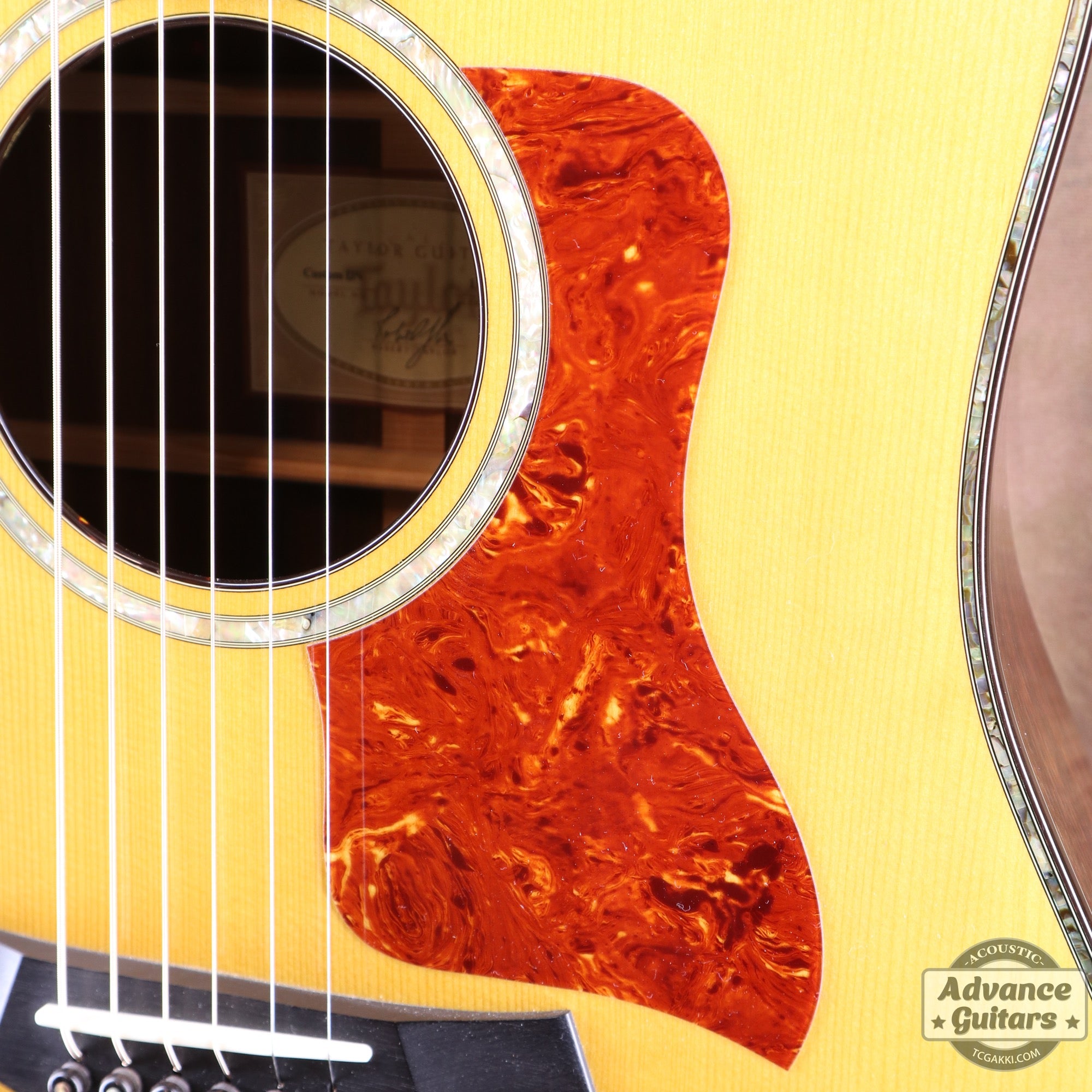 Taylor 2011年製 BTO2011 DNE-ADS/RW
