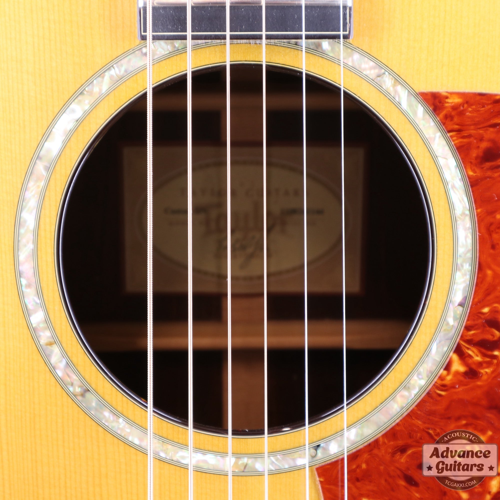 Taylor 2011年製 BTO2011 DNE-ADS/RW