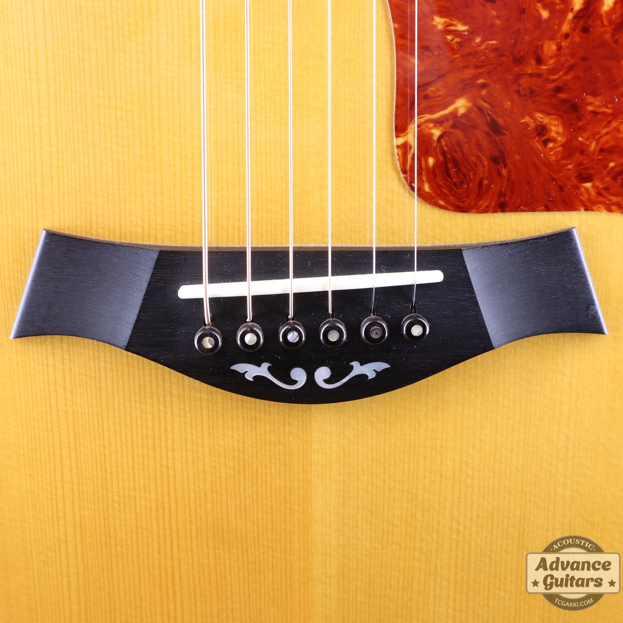 Taylor 2011年製 BTO2011 DNE-ADS/RW