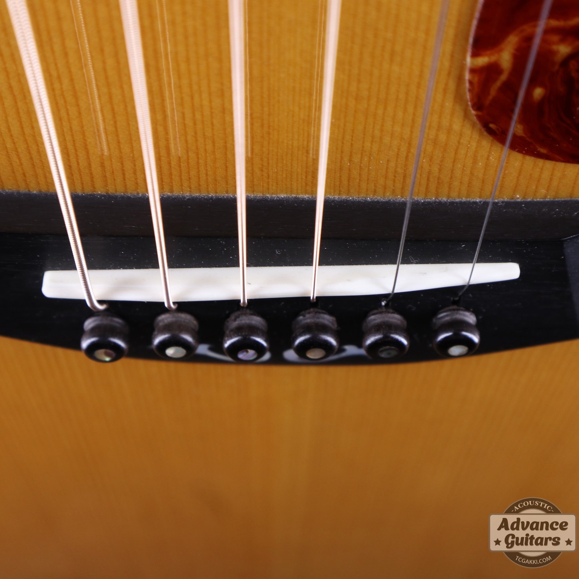 Taylor 2011年製 BTO2011 DNE-ADS/RW