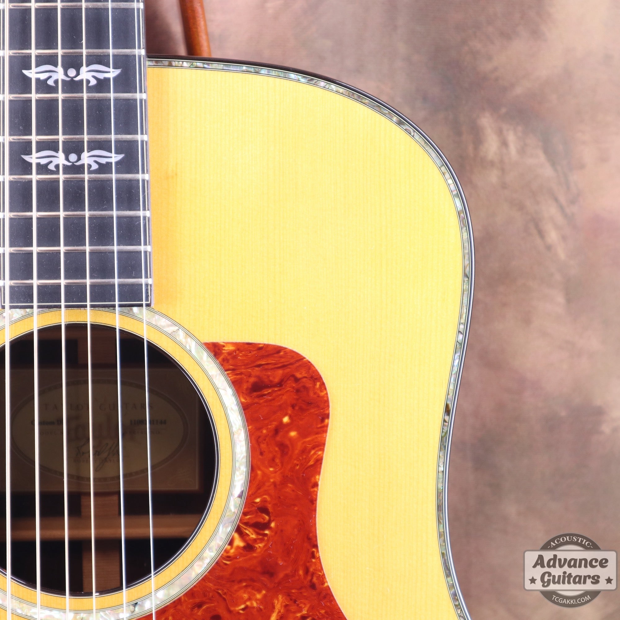 Taylor 2011年製 BTO2011 DNE-ADS/RW