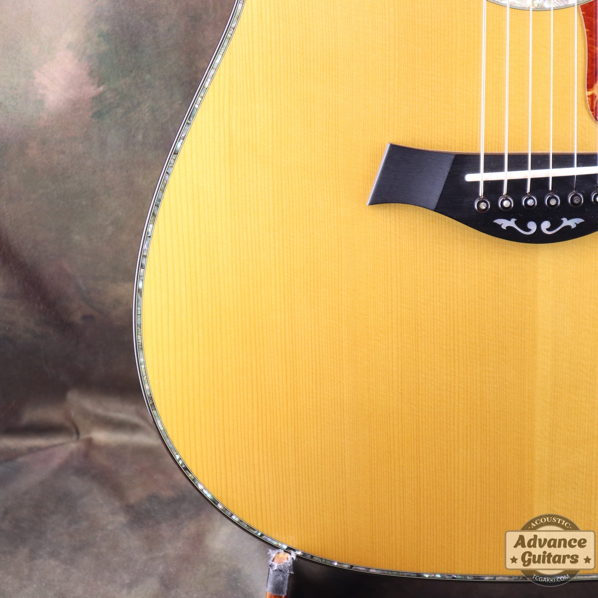 Taylor 2011年製 BTO2011 DNE-ADS/RW
