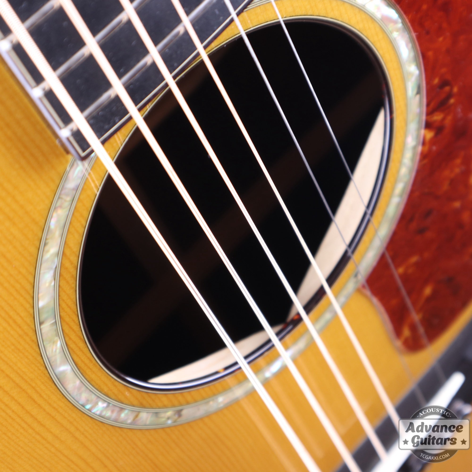 Taylor 2011年製 BTO2011 DNE-ADS/RW