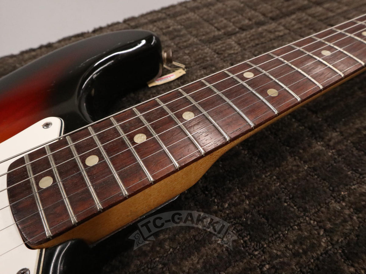 1979 Stratocaster Esche / Palisander