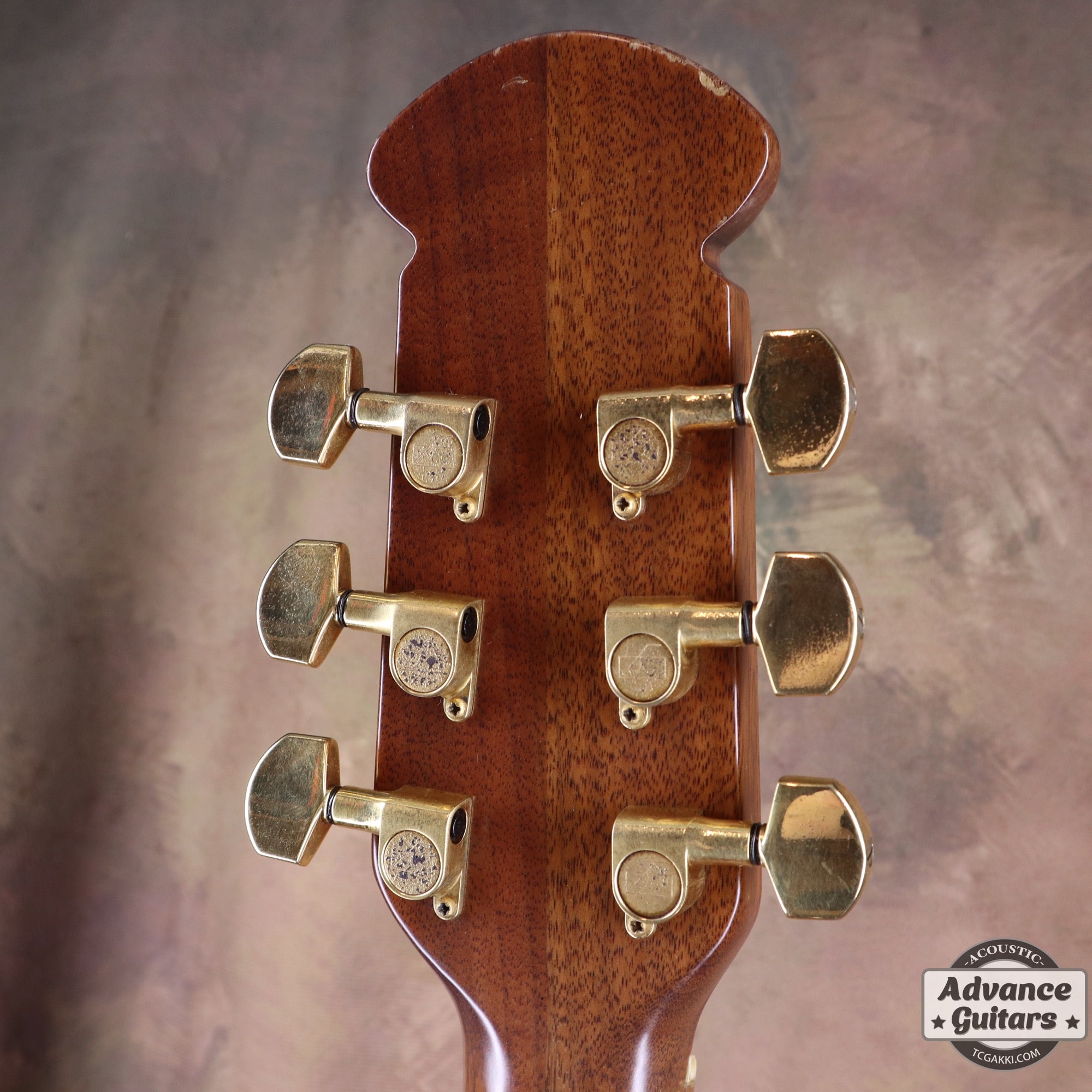 Ovation 1978年製 Super Adams 1687-8