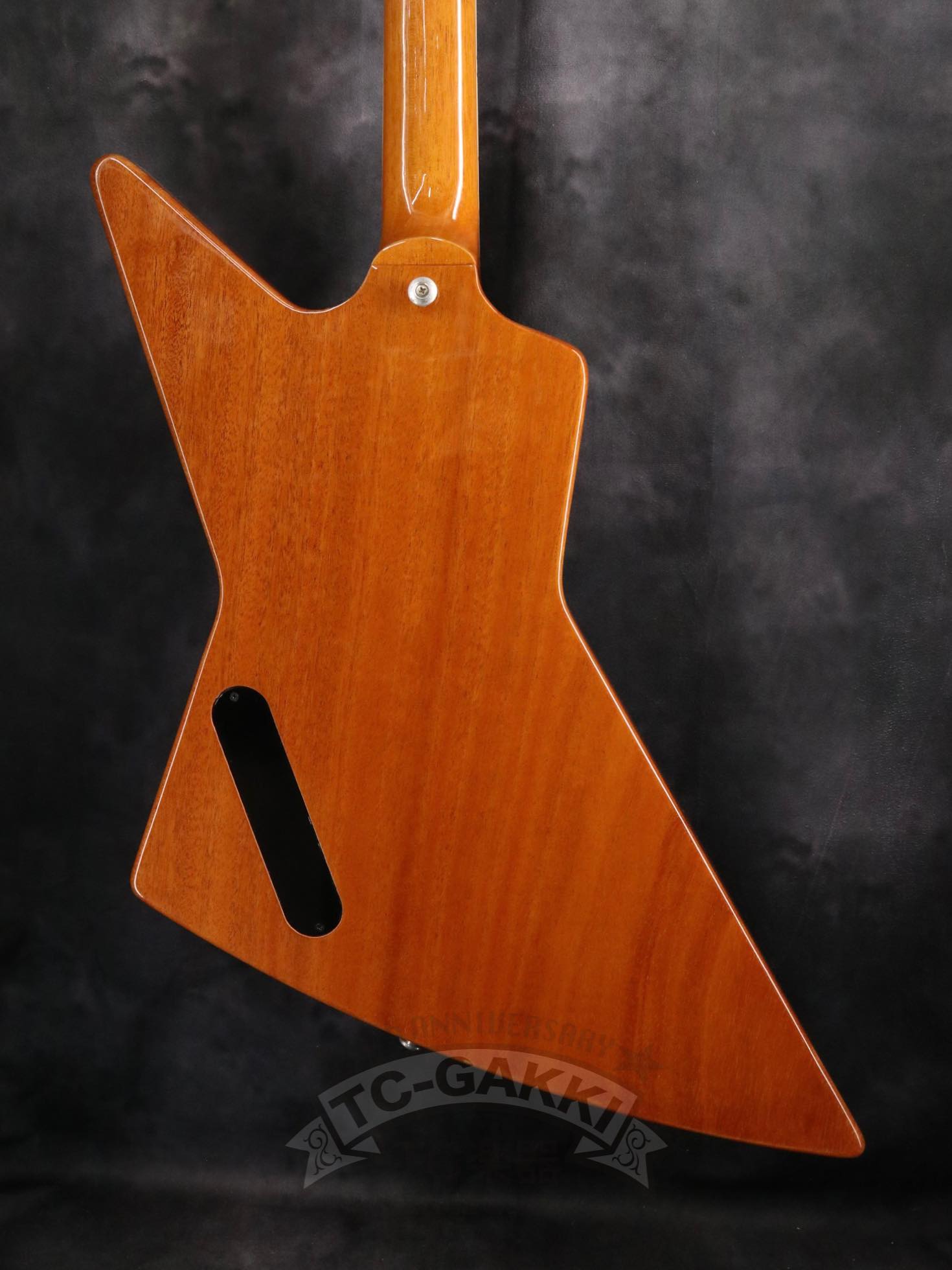 Gibson 2020 70s Explorer