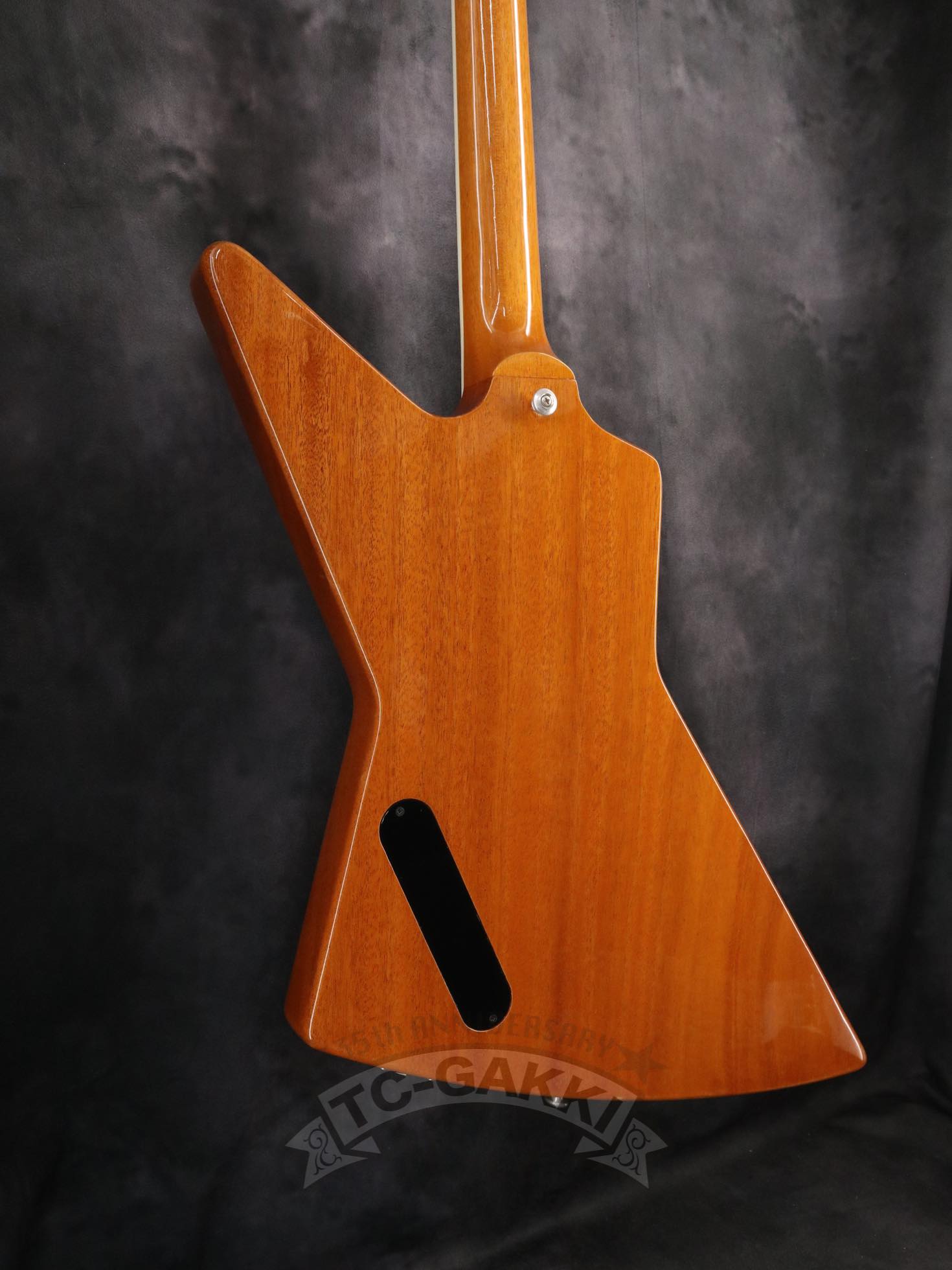 Gibson 2020 70s Explorer