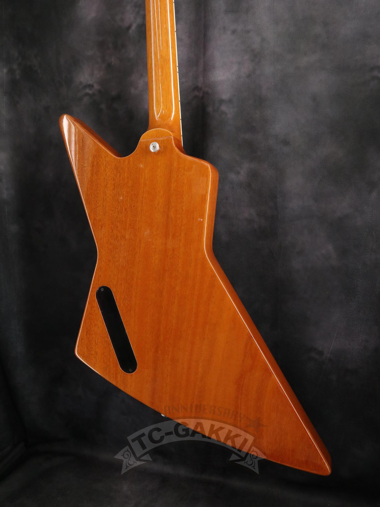 Gibson 2020 70s Explorer