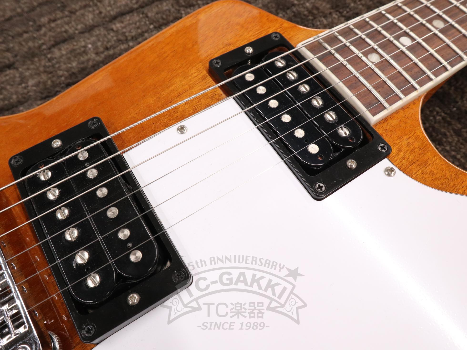 Gibson 2020 70s Explorer