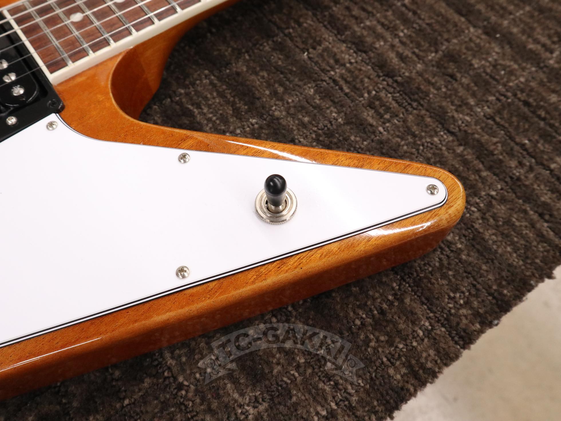 Gibson 2020 70s Explorer