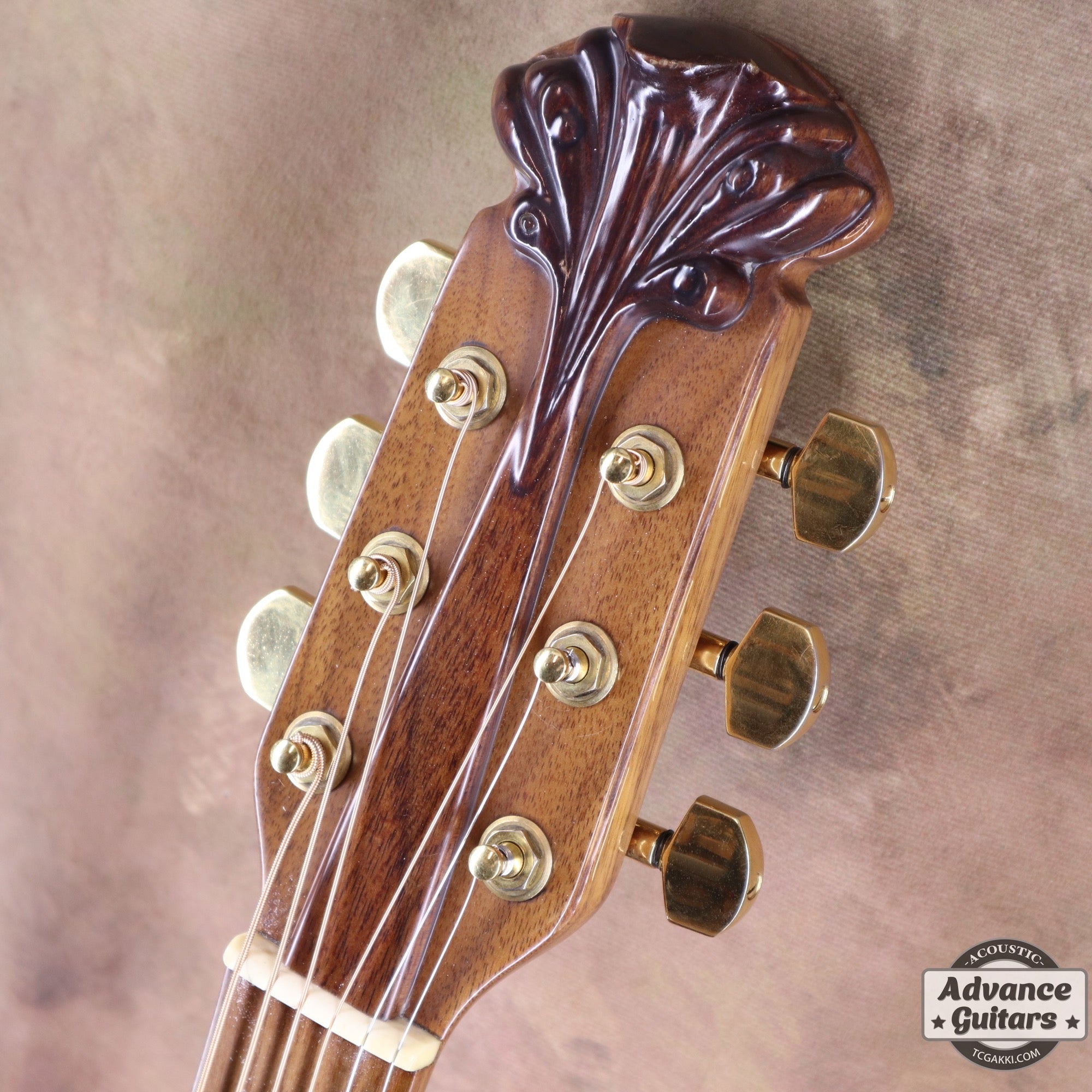 Ovation 1979年製 Super Adams 1687-2
