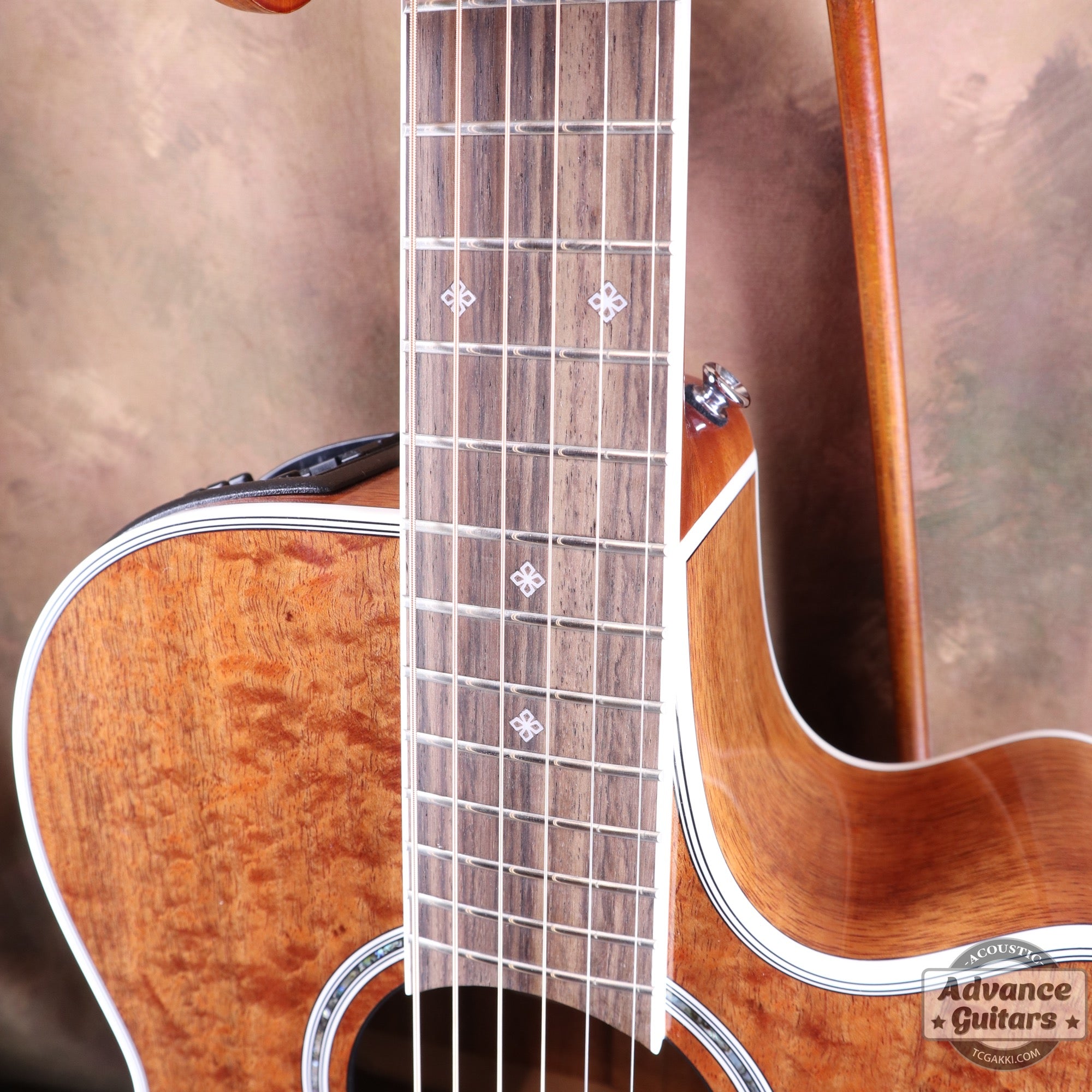 Takamine 2012年製 PTU131KC N