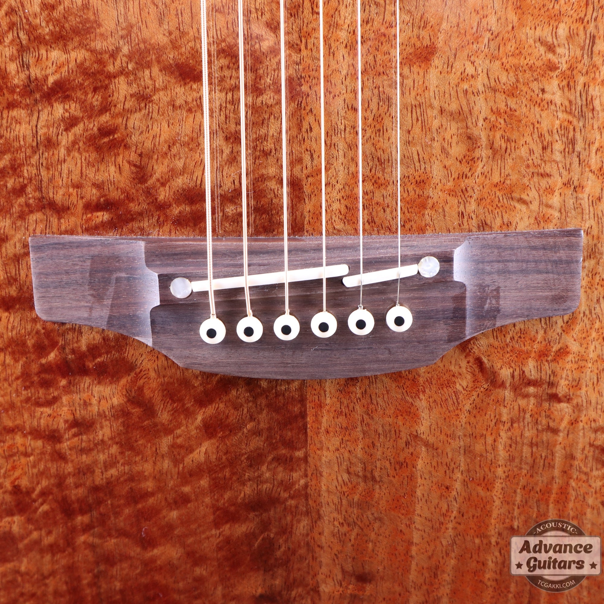 Takamine 2012年製 PTU131KC N