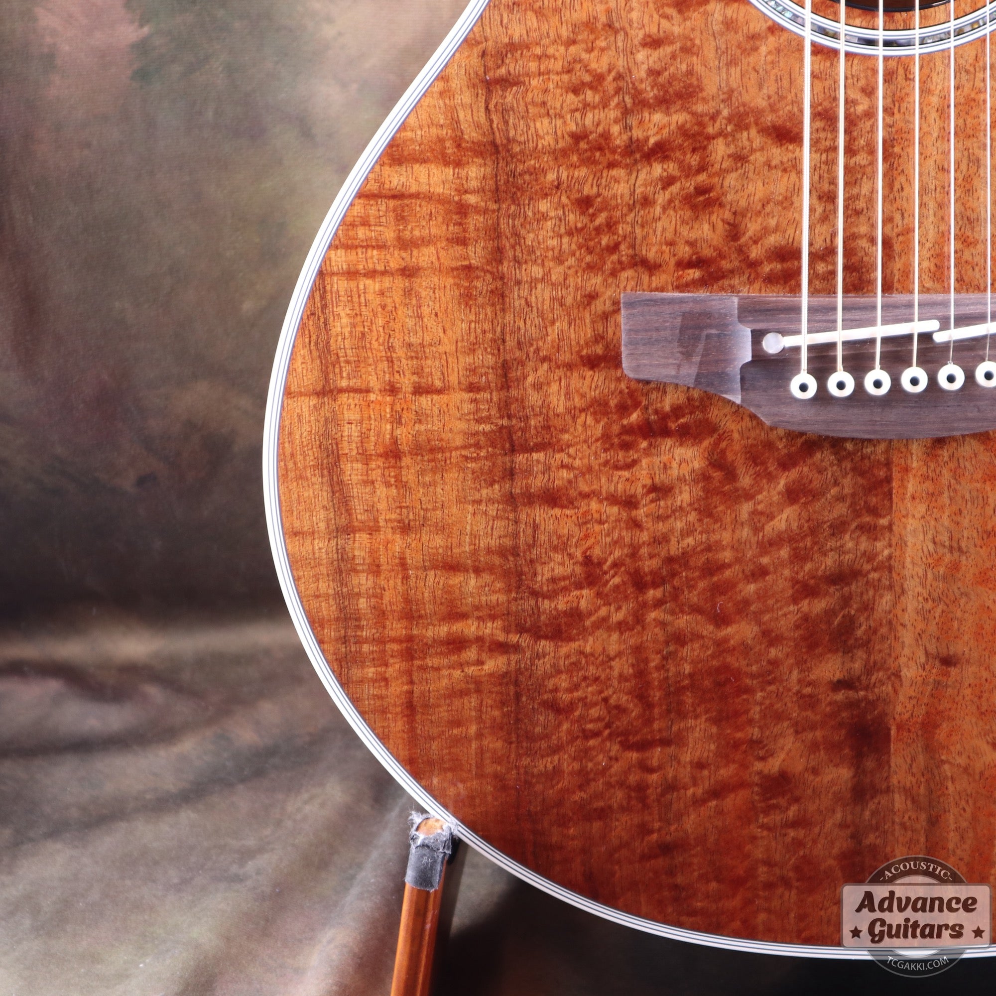 Takamine 2012年製 PTU131KC N