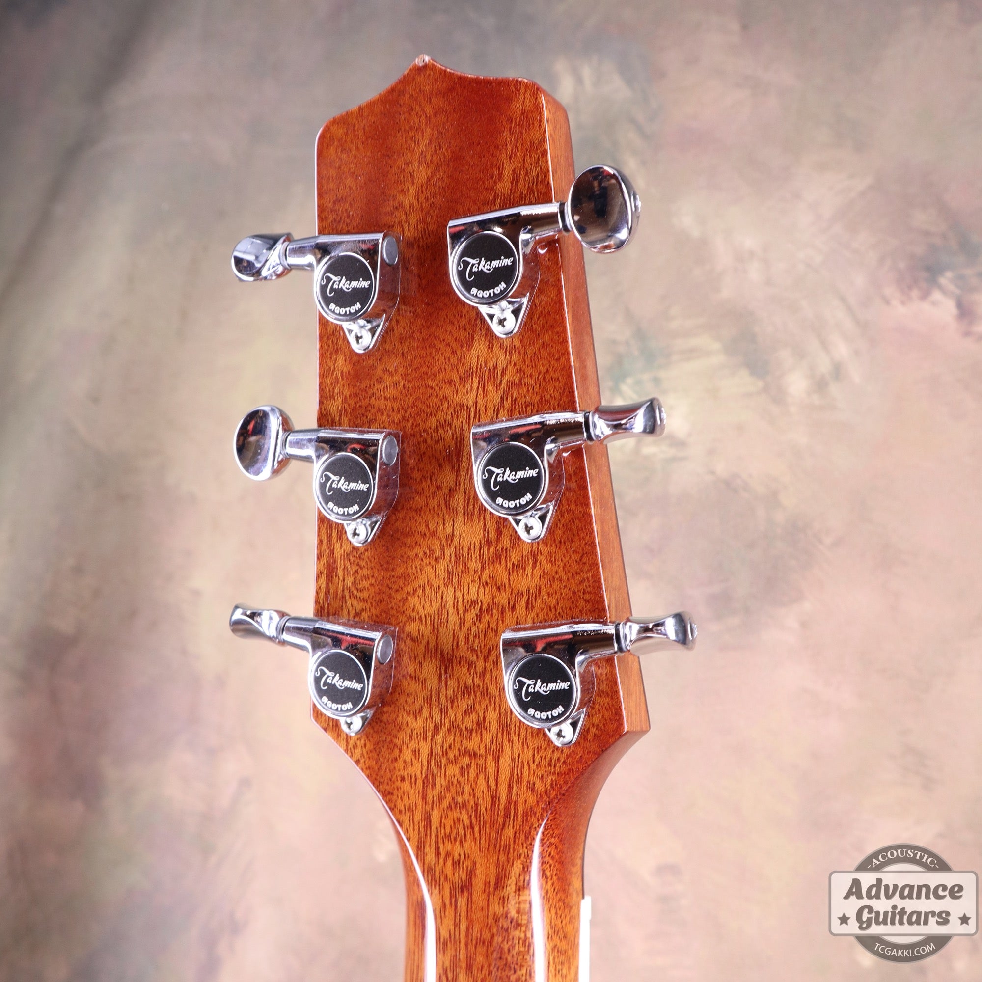 Takamine 2012年製 PTU131KC N