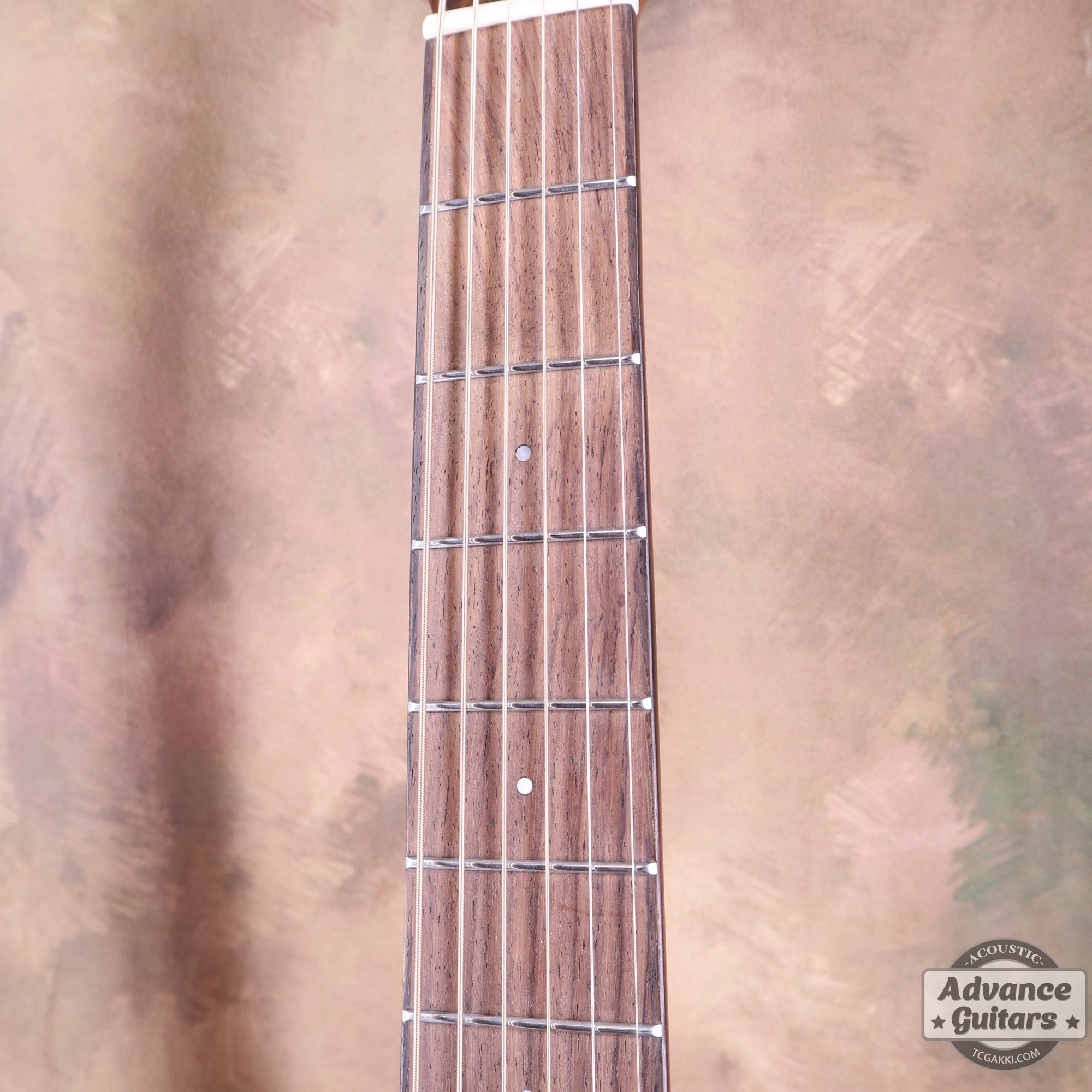 Zemaitis P-CAD-200HS-G