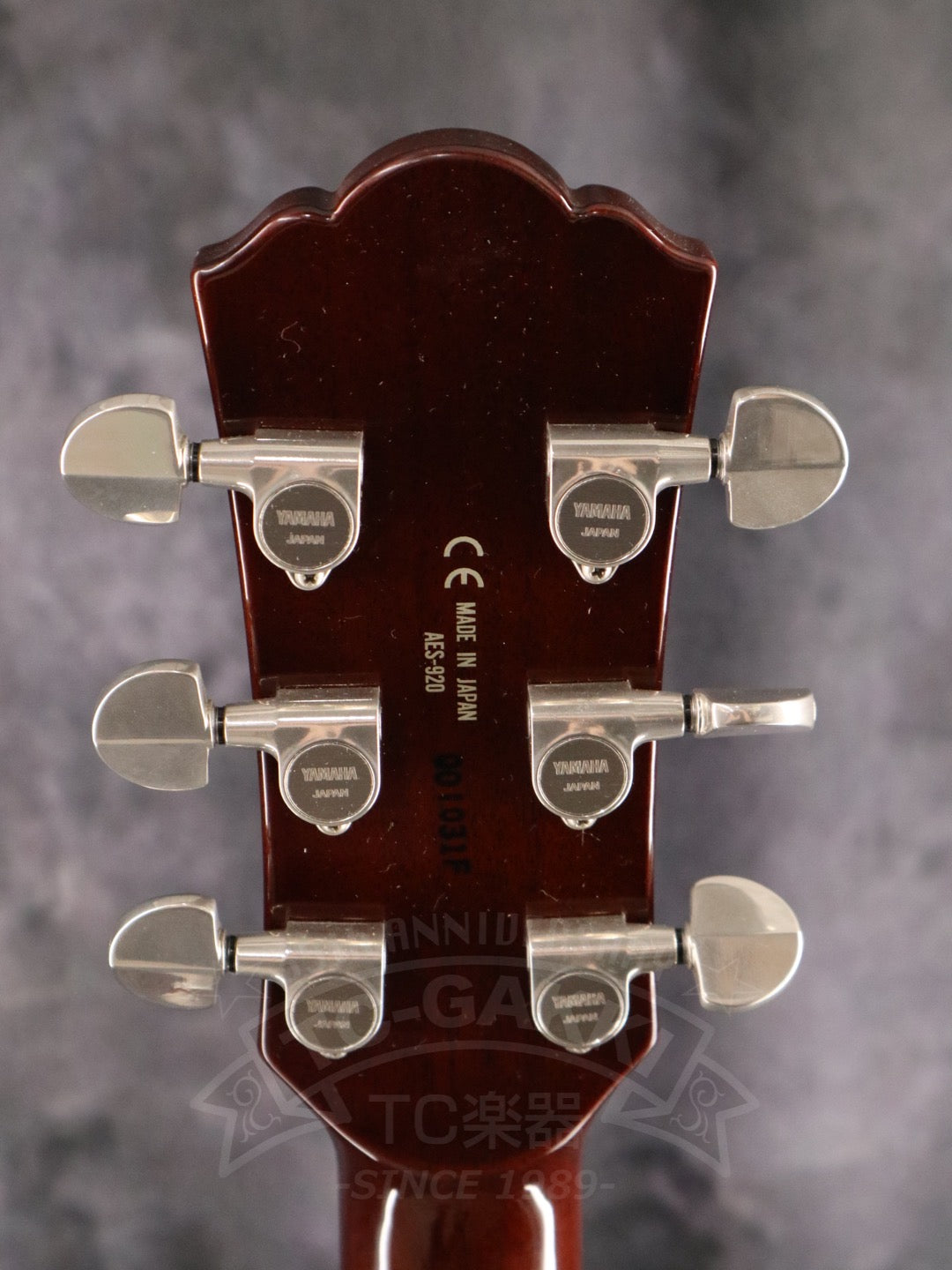 YAMAHA AES-920
