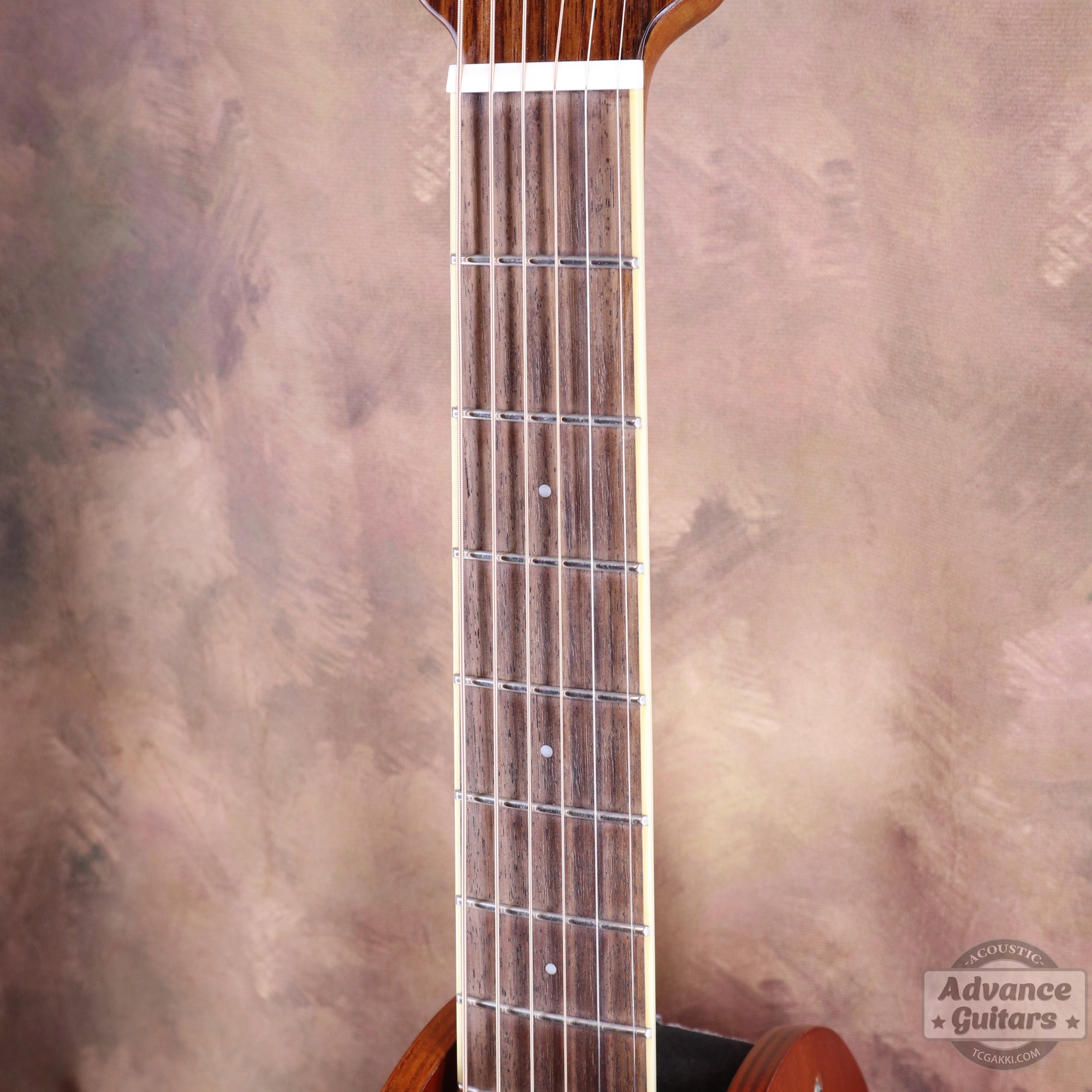 Ovation Celebrity CS24-4
