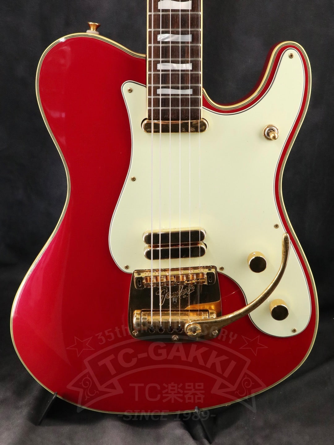 Fender Japan Terry-1 ANNIVERSARY Mod