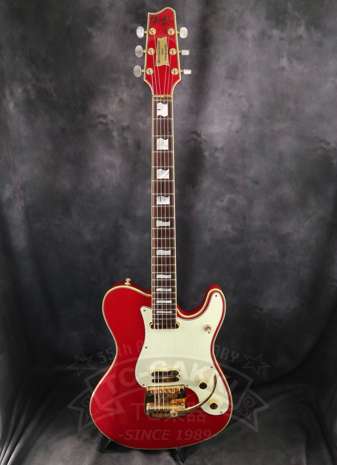 Fender Japan Terry-1 ANNIVERSARY Mod