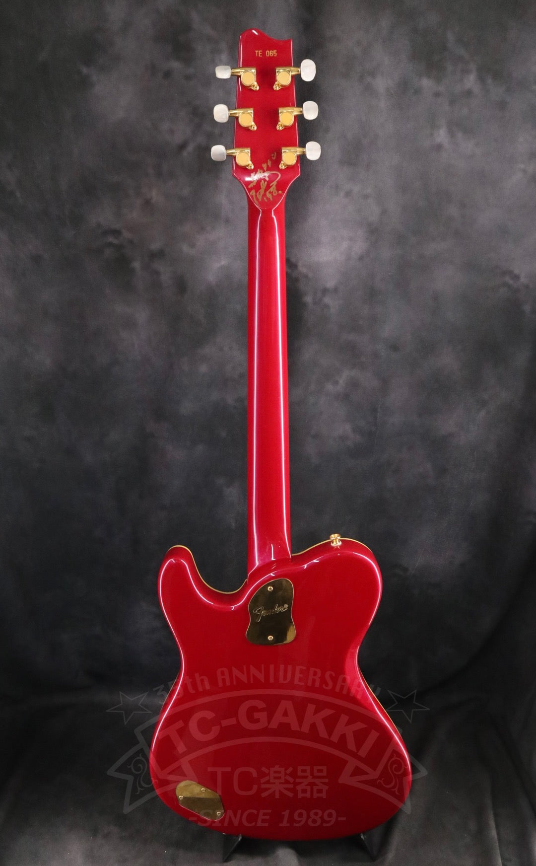 Fender Japan Terry-1 ANNIVERSARY Mod