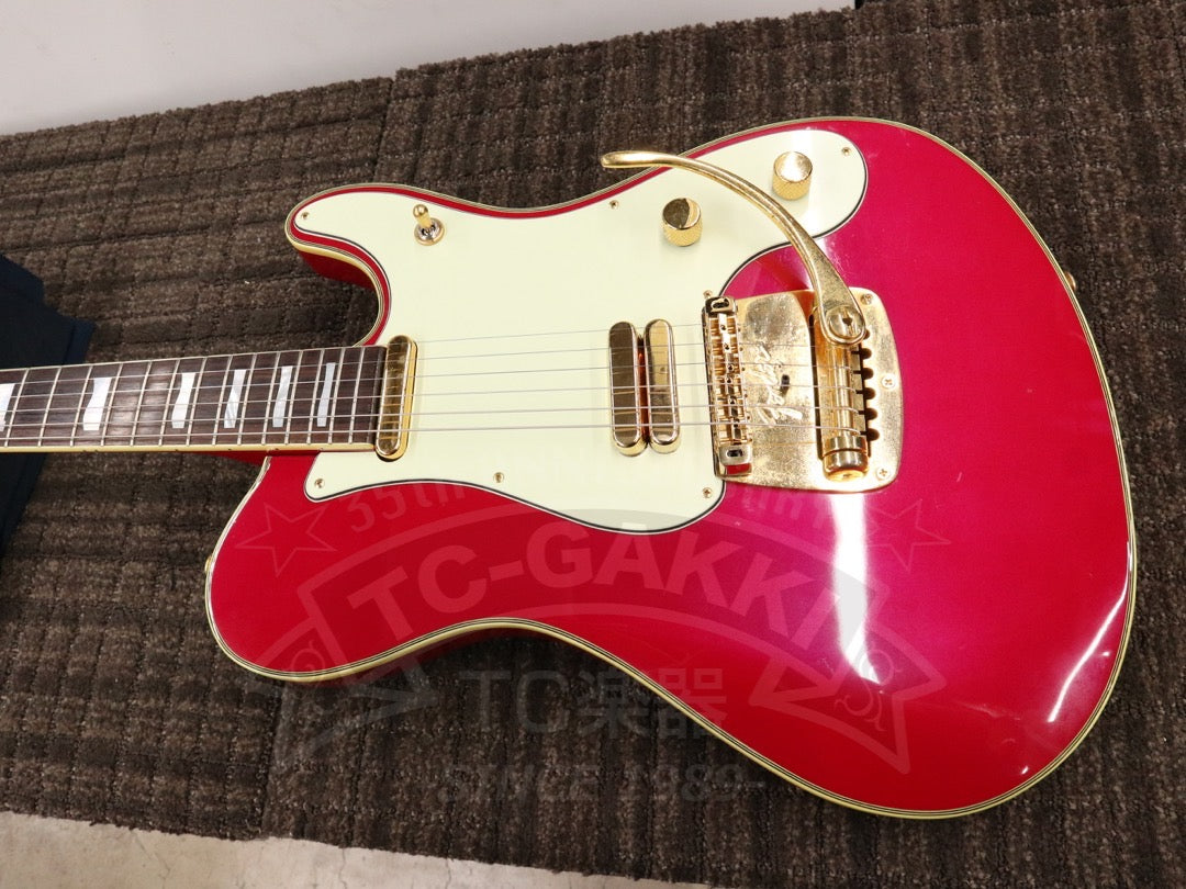 Fender Japan Terry-1 ANNIVERSARY Mod