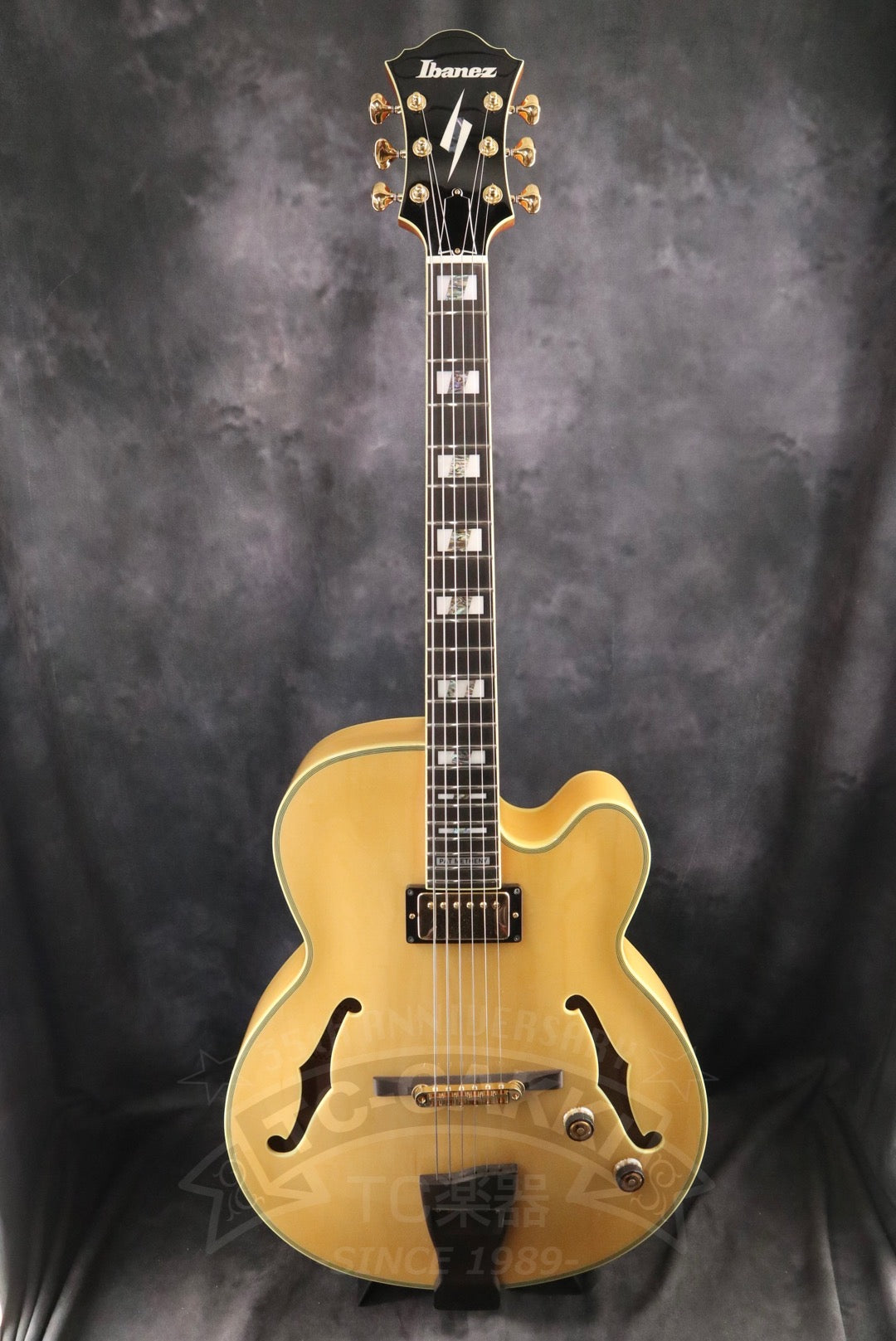 Ibanez PM200