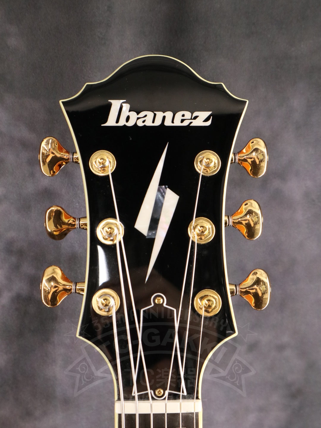 Ibanez PM200