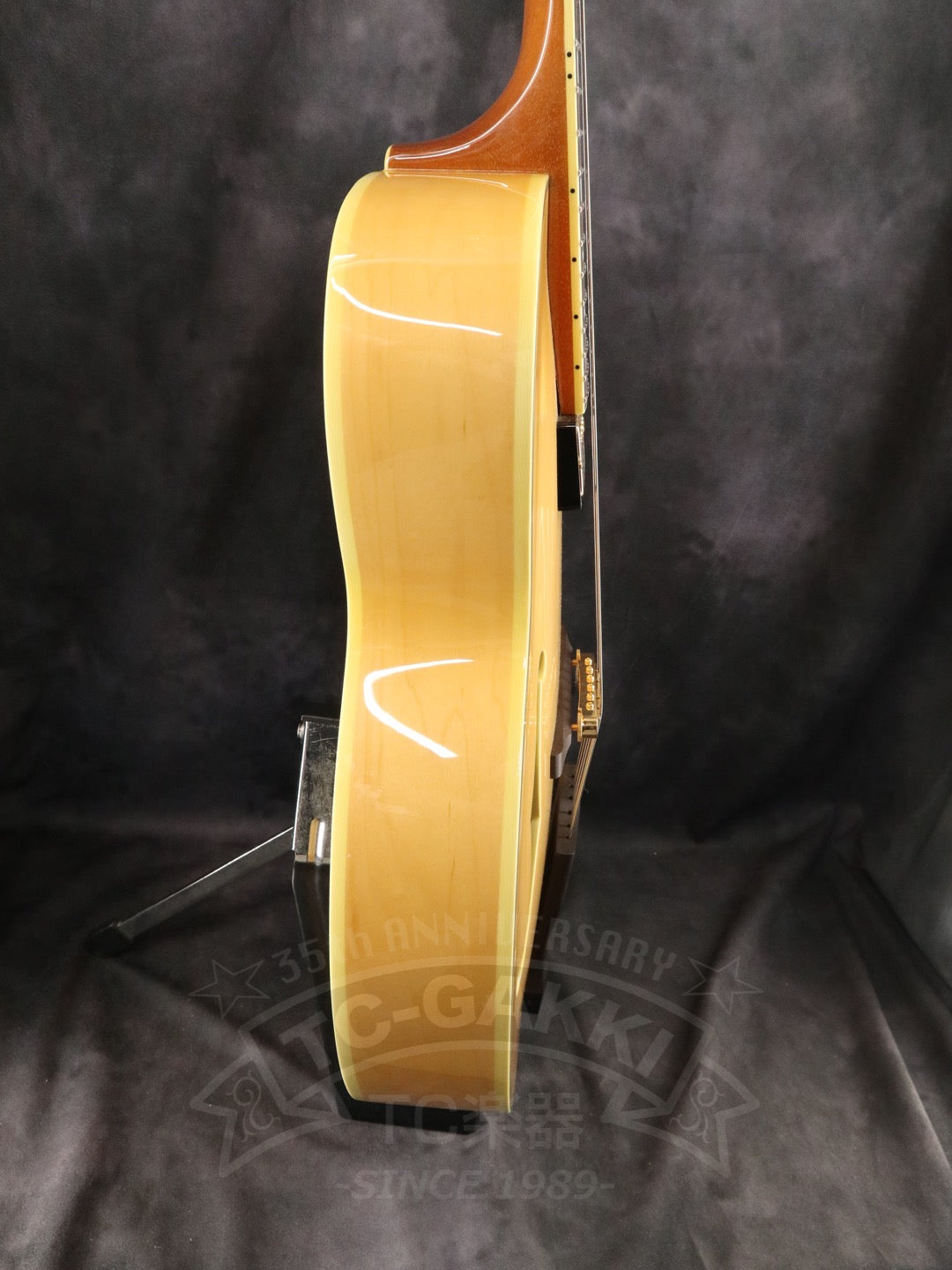 Ibanez PM200