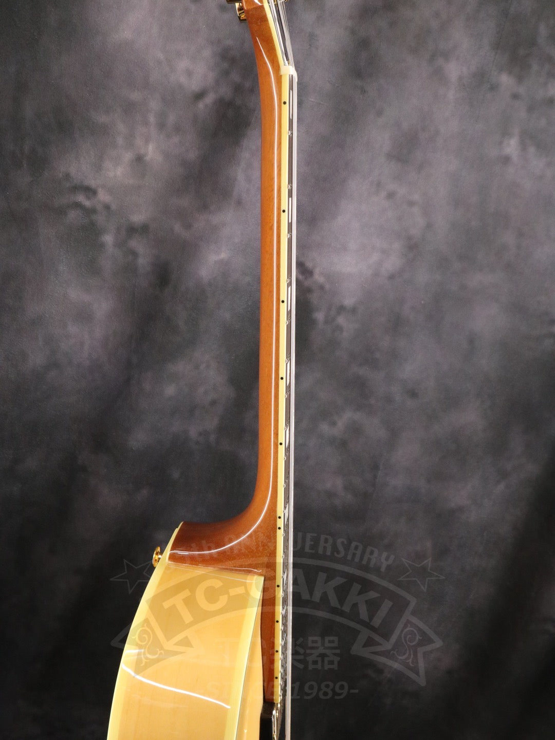 Ibanez PM200
