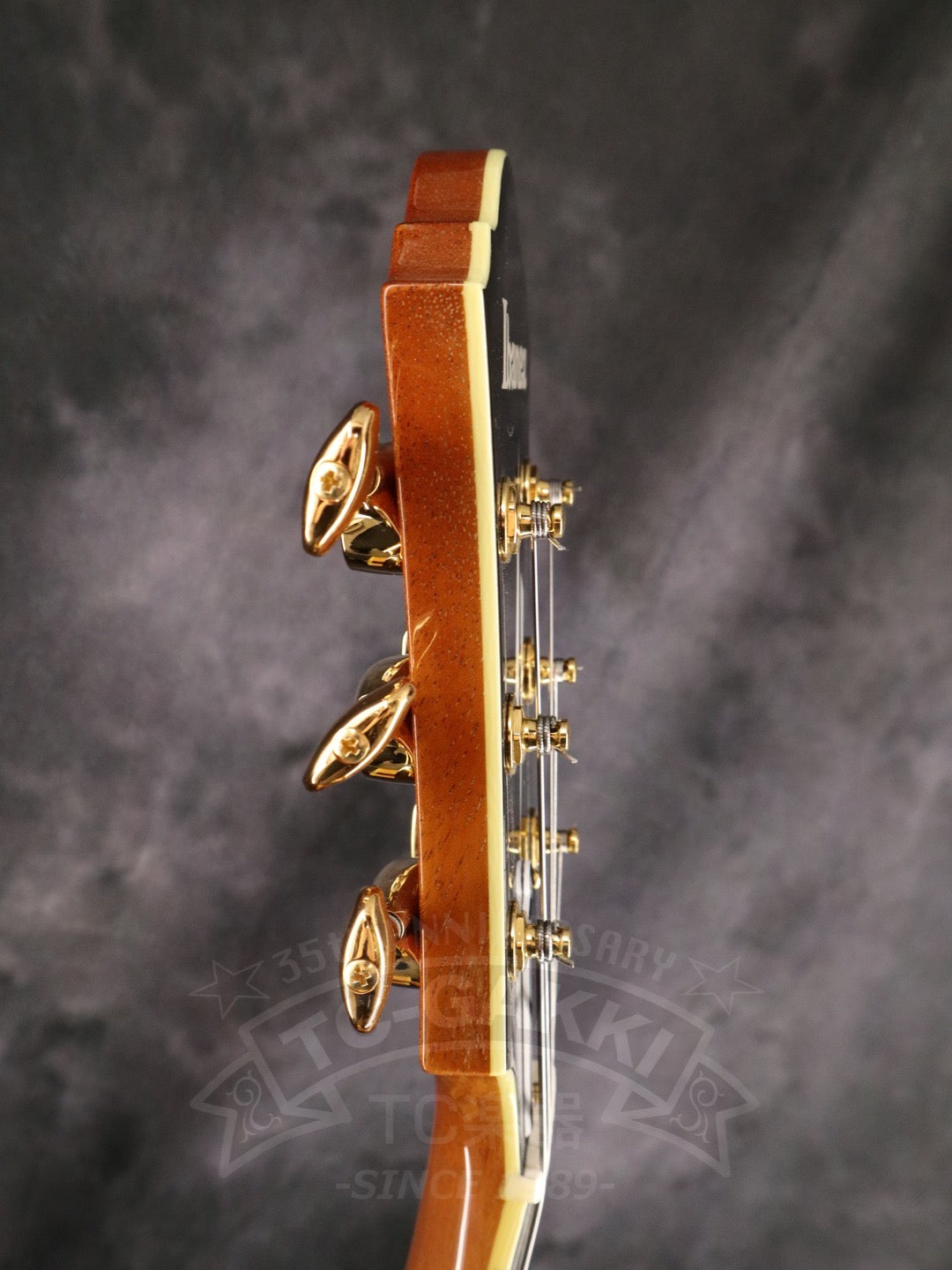 Ibanez PM200