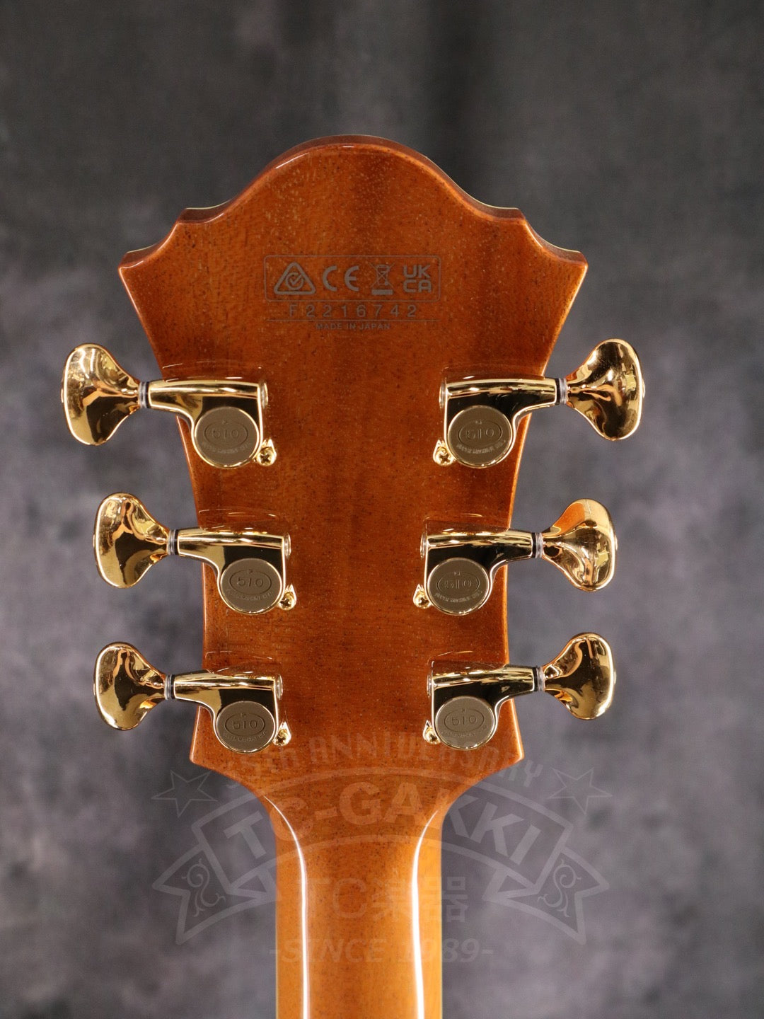 Ibanez PM200