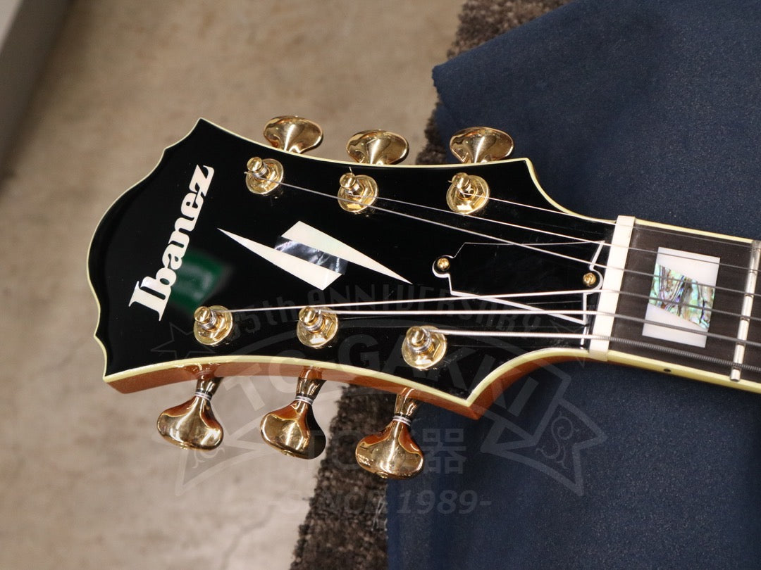 Ibanez PM200