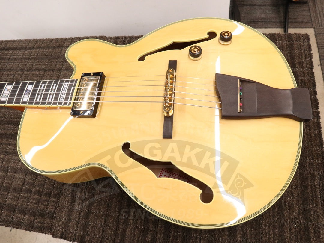 Ibanez PM200