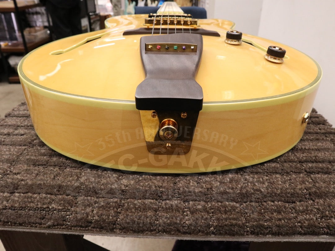 Ibanez PM200