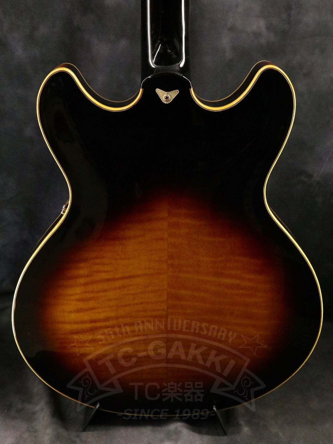 Ibanez AS200