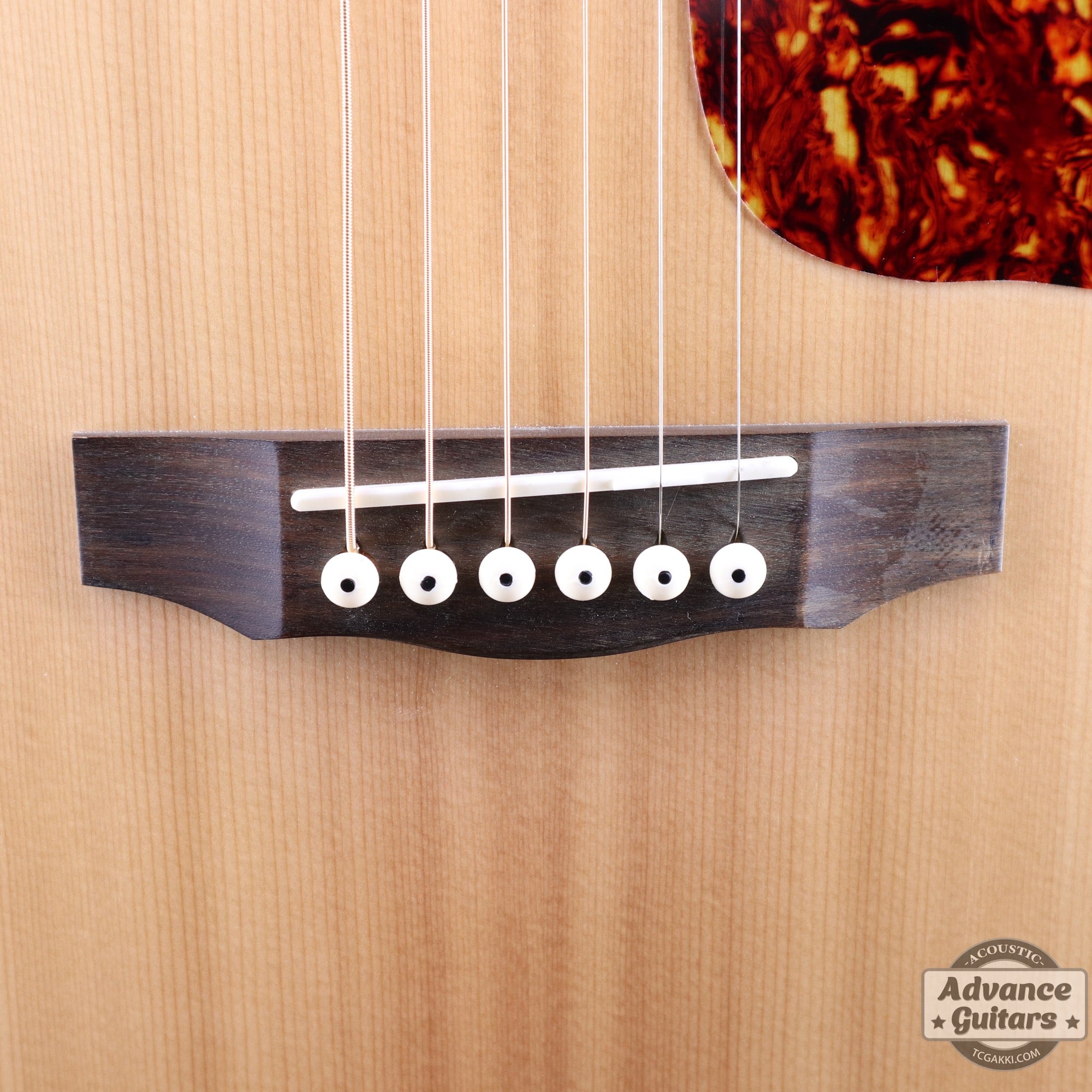JUMBO JUNIOR MAHOGANY