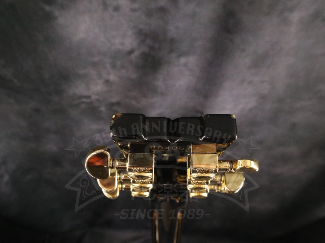 Ibanez AS200