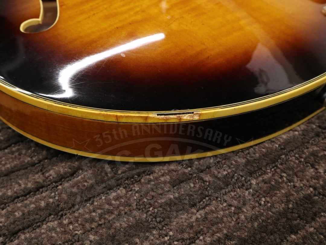 Ibanez AS200