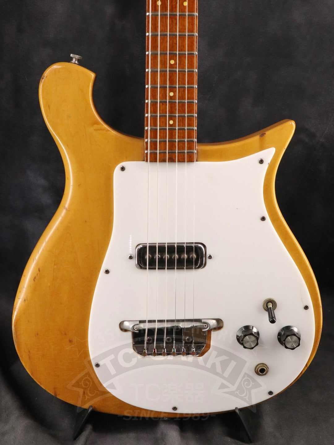 Rickenbacker 420